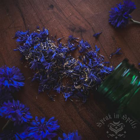 Cornflower Blue Witchcraft: Unleash Immense Power with Phenomenal Results